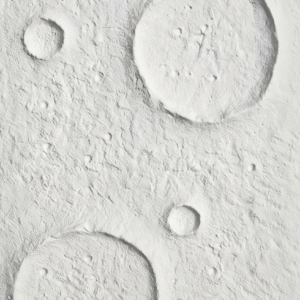 Moon Cream
